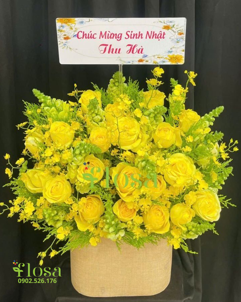 Hộp Hoa Tươi: Hoa Hộp Niềm Vui Chân Thành-HH73