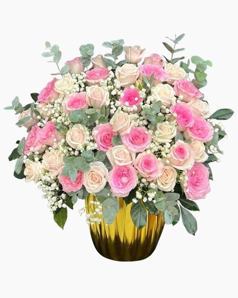 Hộp Hoa Tươi: Hộp Hoa Hồng Xinh - HH170