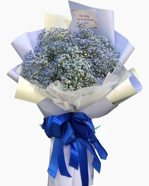 Hoa Bó Dài: Bó Hoa Babi Hà Lan Xanh - HB01