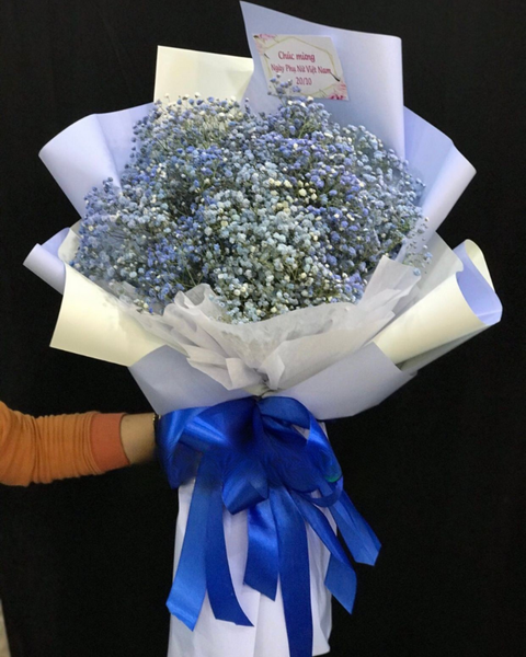 Hoa Bó Dài: Bó Hoa Babi Hà Lan Xanh - HB01