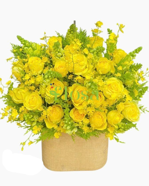 Hộp Hoa Tươi: Hoa Hộp Niềm Vui Chân Thành-HH73
