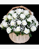  Rose White - GHV07 
