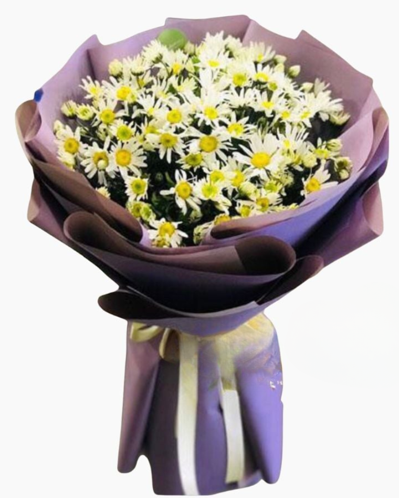 Bó cúc hoạ mi mộng mơ