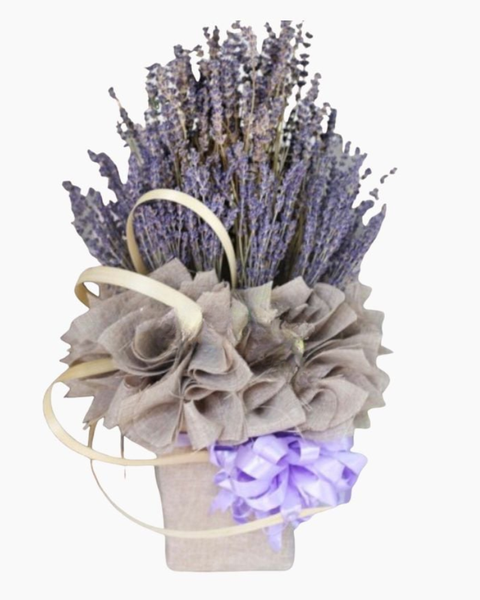 Hoa Lavender: Hộp Hoa Lavender Giản Dị - LVD05