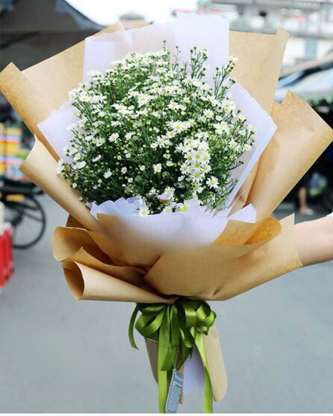 Hoa Bó Dài: Thạch Thảo - HBD06
