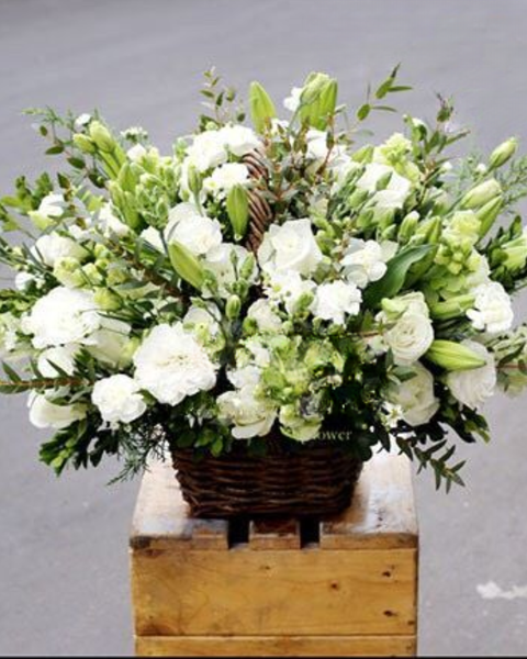 Giỏ Hoa Khai Trương: Thuần Khiết - HG36