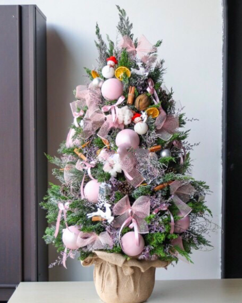 Hoa Giáng Sinh: Cây Thông Noel Holly Jolly Cedar - HGS10 - Giáng Sinh Hạnh Phúc