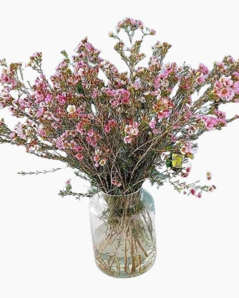 Hoa Cắm Bình: Tết An Nhiên - HCB60 - Hoa Chưng Tết
