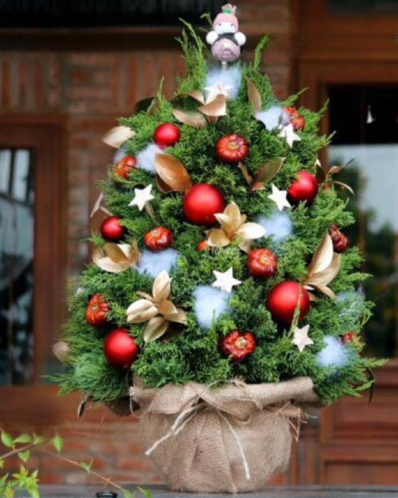  Cây Thông Noel Joyful Pine - HGS08 - Priceng Sinh Bình An 