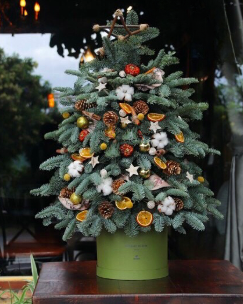  Cây Thông Noel Evergreen - HGS06 - Priceng Sinh An Lành 
