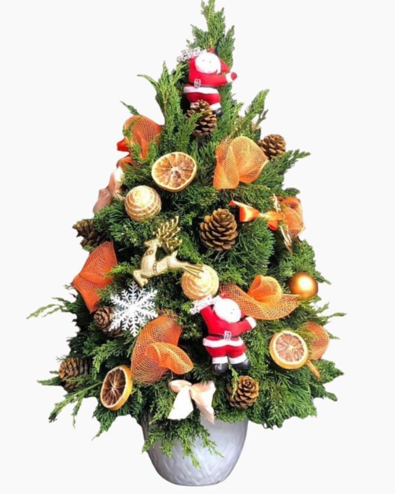  Cây Thông Noel Sparkle - HGS04 - Quà Priceng Sinh 