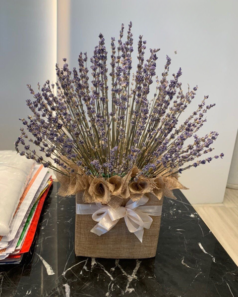 Hoa Lavender: Thảo Dược Tình Yêu - LVD06