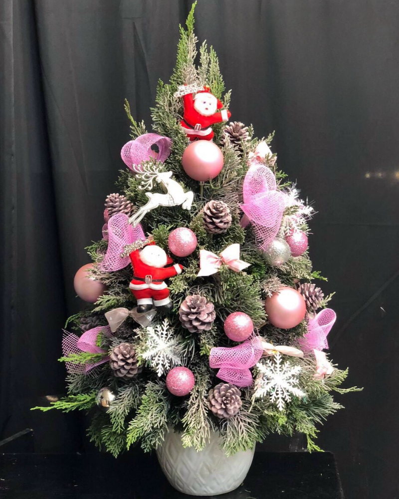 Cây Thông Noel Tannenbaum - HGS01 - Hoa Priceng Sinh 
