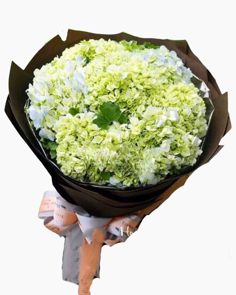 Hoa Bó Tròn: Bó Hoa Cẩm Tú Cầu - HBT51 - Hoa tặng mẹ