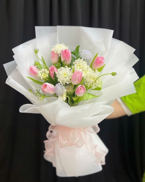 Hoa Bó Dài: Bó Hoa Tulip Kiều - HBD348