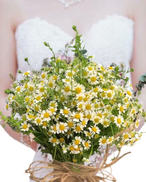 Hoa Cưới: Hoa Cưới cầm tay cô dâu Cherish Day  HC30