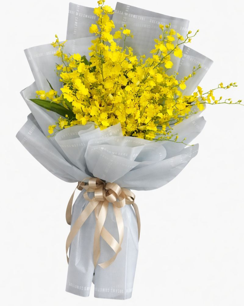  Bó Lan Vũ Nữ - HBD237 