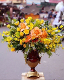  Nắng - HCB24 