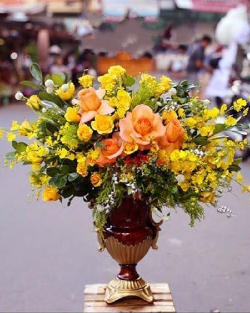  Nắng - HCB24 