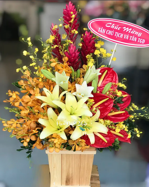 Hoa Màu Cam: Sự Sống - HCH39