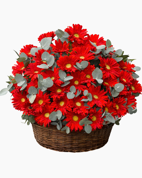 Giỏ Hoa Khai Trương: Giỏ Hoa Đỏ Tiền - HG97