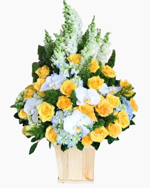 Hộp Hoa Tươi: Vững Chí Vươn Xa - HCH28