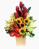  Bay Cao - HCH15 - Hoa 20/11 Đẹp Tặng Thầy Cô Priceo 