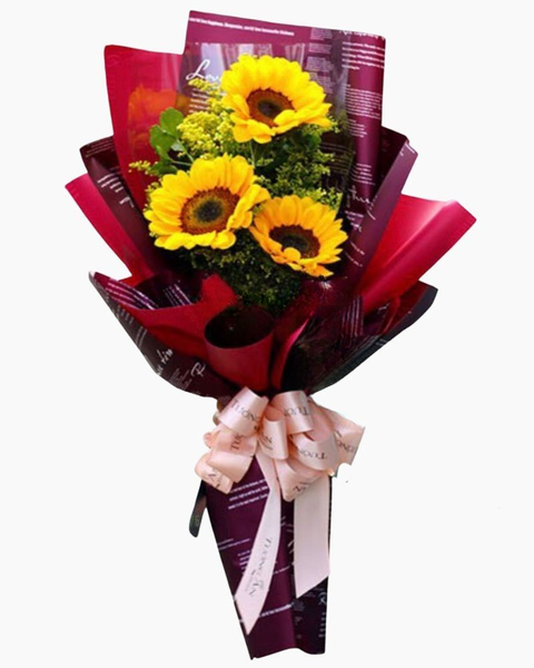 Hoa Bó Dài: Niềm Vui Ngày Mới - HBD26
