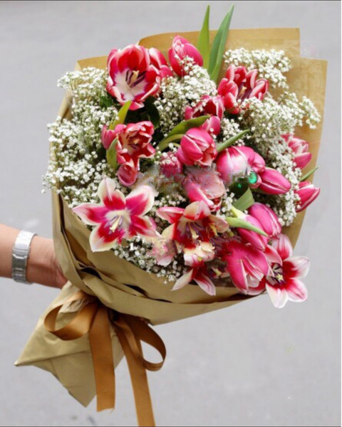 Hoa Bó Dài: Bó Hoa Tulip - HBD20 - Hoa 8/3