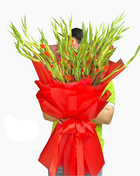 Hoa Bó Dài: Bó Hoa Dên Đỏ- HBD323