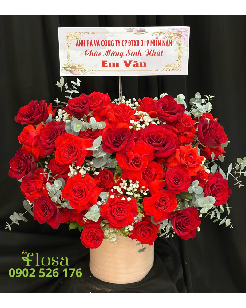  Hộp Hoa Hồng Đỏ Thuần  - HH119 