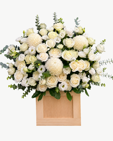 Hộp Hoa Tươi: Hộp Hoa Ánh Trắng Tinh Khôi - HH228