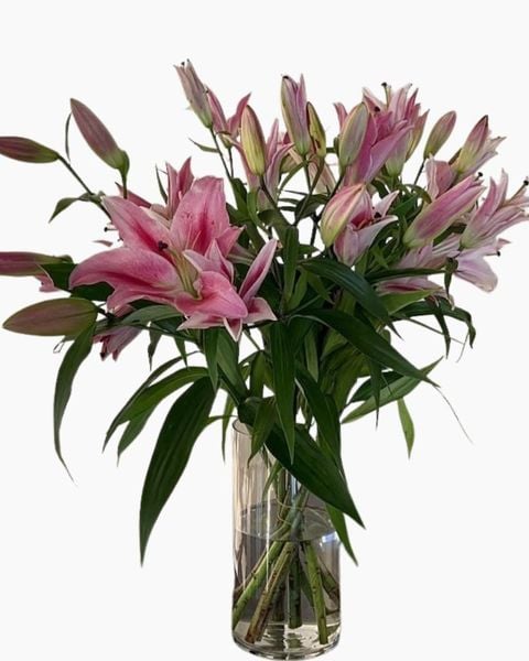Hoa Cắt Cành: Hoa Ly Ù - Hoa cắt cành loa kèn