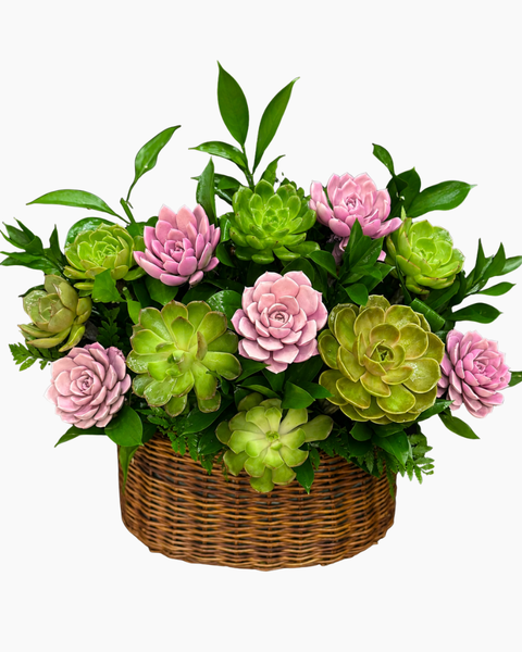 Giỏ Hoa Khai Trương: Giỏ Hoa Mộc An Yêu Thương - HG103