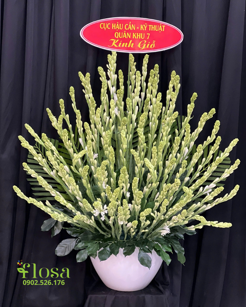Hoa Cắm Bình: Bình Hoa Huệ Xanh  - HCB82