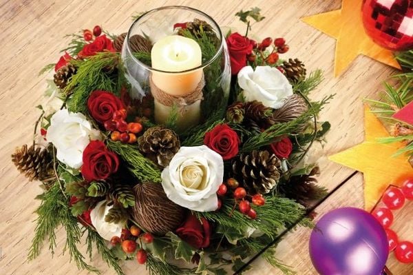 Mẫu hoa tươi trong dịp giáng sinh ấm áp.
