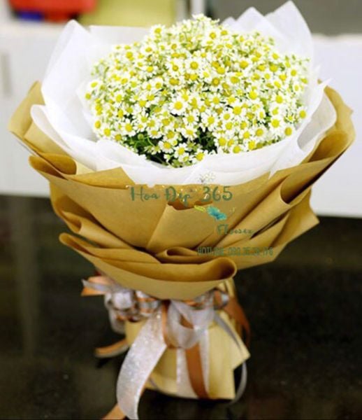 Hoa cúc tana nhỏ nhắn và thuần khiết