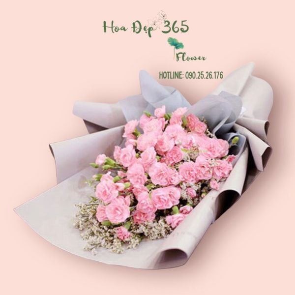 bó hoa cẩm chướng hồng