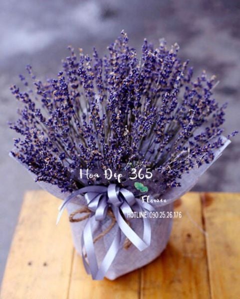 hoa tượng trưng cho sự chờ đợi làm quà