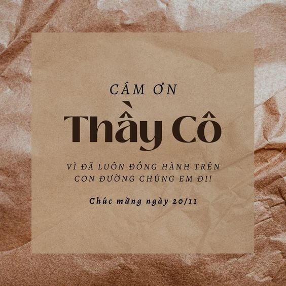 bó hoa tặng 20/11 và lời cảm ơn