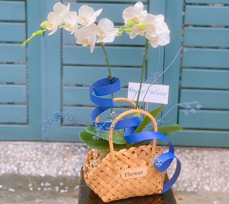 Giỏ hoa lan hồ điệp sang trọng tặng sếp
