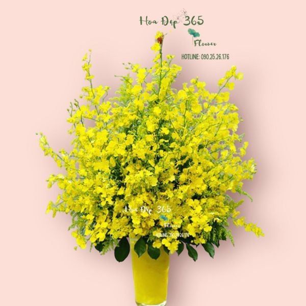 Bình hoa Tết - Lan vũ nữ