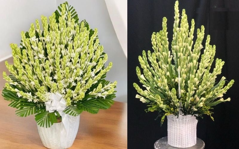 Bình Hoa Huệ Trắng - HCB70 và Giỏ Hoa Huệ Trắng - GHV13 tại Flosa