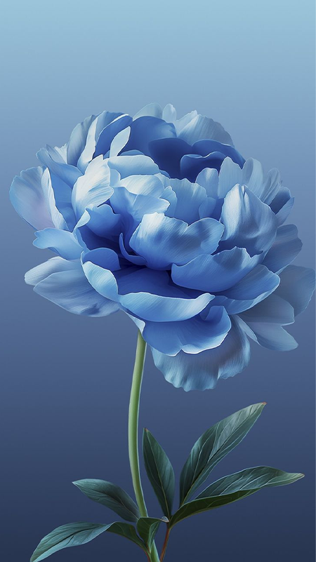 https://file.hstatic.net/200000427529/file/hoa mau don theo mau sac 02 blue