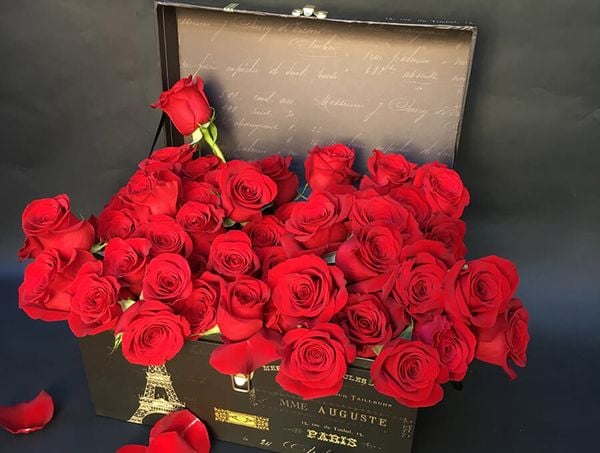 Lý giải tại sao hoa hồng Valentine vẫn luôn là quà tặng được ưa chuộng nhất
