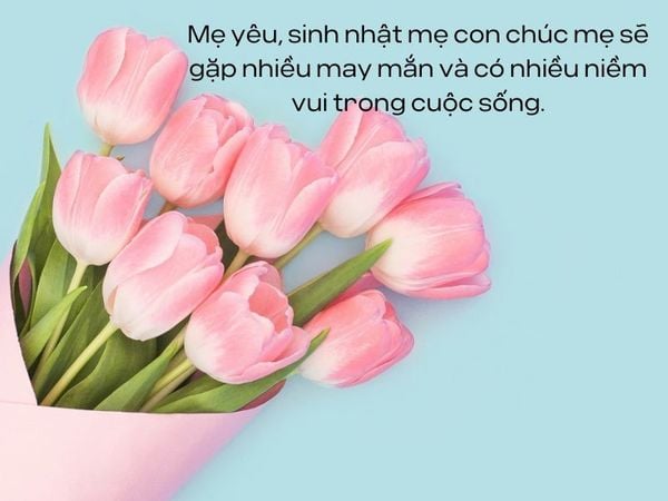 lời chúc mừng sinh nhật