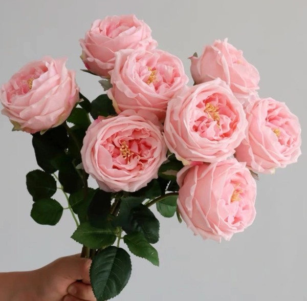 Tặng hoa hồng valentine để tỏ tình với crush