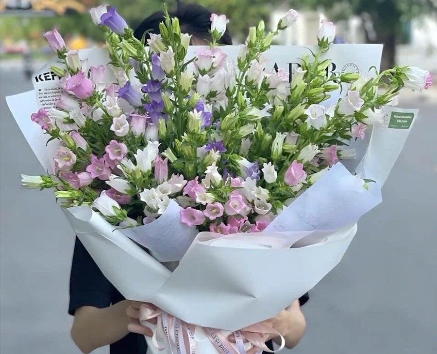 https://file.hstatic.net/200000427529/file/y nghia hoa chuong 4