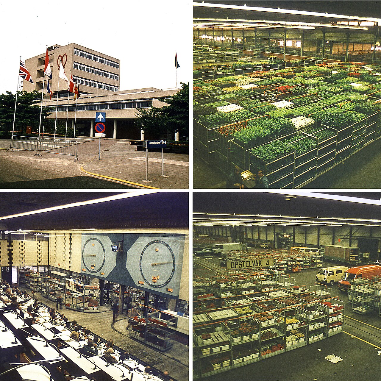 Chợ đấu giá hoa Aalsmeer, Hà Lan