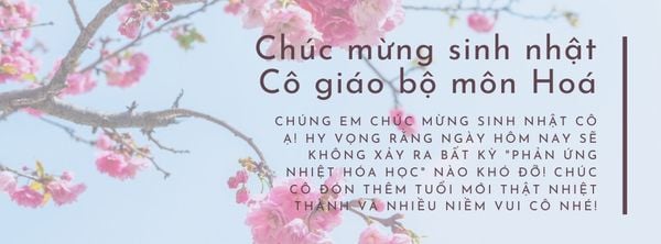 Câu chúc mừng sinh nhật cô giáo xinh đẹp